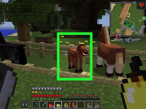 Feb 25, 2023 · Villages (in stables) You’ll need to tame a horse before attempting to breed it. Players can mount a horse by pressing use on it with nothing in hand or while holding an object that cannot be used on a horse. It usually requires a few mount attempts for a player to tame an adult horse. Once the horse stops bucking the player off and a heart ... 